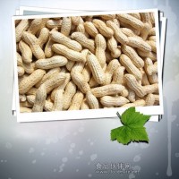 鹵味花生技術(shù)