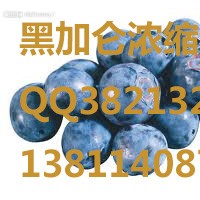 黑加侖濃縮汁