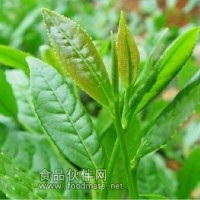 （套餐B）出口歐盟茶葉核心農(nóng)殘?zhí)撞?2項