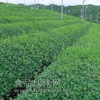 （套餐 E）茶葉中農(nóng)藥殘留檢測200項