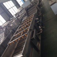 芹菜氣泡清洗機(jī) 多角度清洗無死角清洗機(jī)