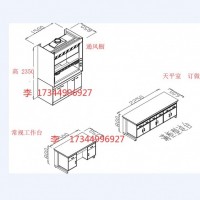 實驗室試劑藥品柜器皿柜通風柜櫥氣瓶柜工作臺天平臺廠家