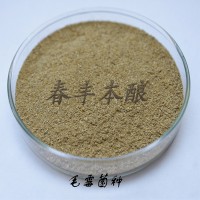 毛霉菌毛霉毛豆腐菌種毛霉菌價格毛霉菌供應毛霉菌廠家