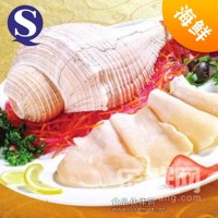 美國螺頭500g 響螺香螺冷凍海鮮補鋅滋陰養顏大塊螺肉 海鮮貝