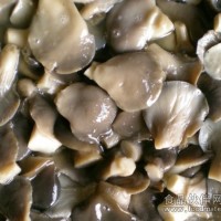 供應鹽漬平菇2-4cm，3-6cm，6-12cm