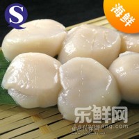 刺身級超大鮮貝柱/日本大帶子300g10-12枚新鮮貝柱瑤柱 海鮮