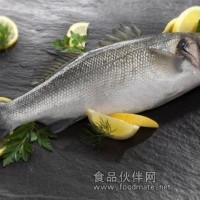 供應(yīng)清蒸紅燒新鮮海鱸魚(yú)