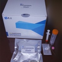 農(nóng)藥殘留、獸藥殘留檢測高效QuEChERS試劑盒