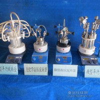 微型高壓反應釜智能程序控溫磁力攪拌高壓反應釜