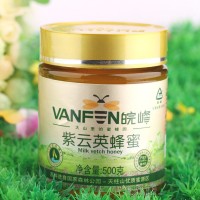 安徽天柱山特產(chǎn) 廠家直銷 皖峰紫云英[]蜂蜜500g 女士營養(yǎng)品