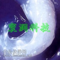 滾動軸承潤滑脂 通用脂 精密儀表潤滑脂