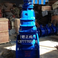 Z45T鑄鐵閘閥 鑄鐵、球墨鑄鐵法蘭閘閥