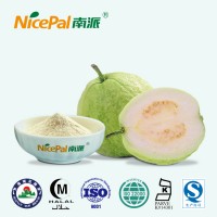 海南水果番石榴粉 專業(yè)水果粉生產(chǎn)廠家  食品級原料輔料