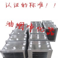無煙木炭燒烤  油煙凈化器