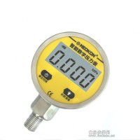 MD-S260 數(shù)字壓力表 電池壓力表