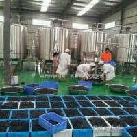 藍(lán)莓汁飲料生產(chǎn)線
