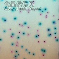 法國科瑪嘉（ECC顯色培養基）