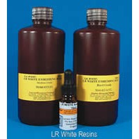 LR White樹脂包埋試劑盒