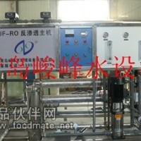 辣椒醬制作純水設備  膠州水處理設備
