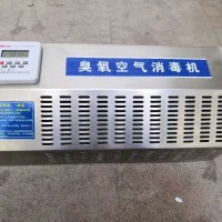 易純公司生產(chǎn)的臭氧發(fā)生器臭氧消毒機(jī)