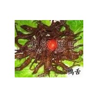 周黑鴨怎么加盟 /周黑鴨官方網站
