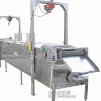 網(wǎng)帶式導(dǎo)熱油爐加熱油炸流水線