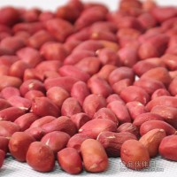元?dú)q巴馬紅皮花生