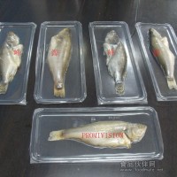 食品貼體包裝膜,水產品貼體包裝膜,水產品真空貼體包裝膜