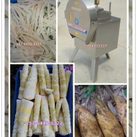 切筍機（視頻/酸筍鮮筍切片切絲機廠家直銷