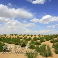 內審員培訓ISO18001優質服務