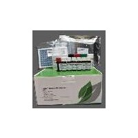 Evergreen李斯特菌檢測條