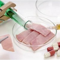 ICAS英格爾肉類真實性檢測服務-食品檢測-檢測報告