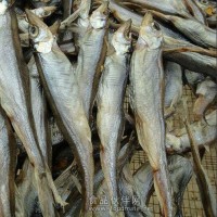 洪湖【綠葉】水產魚干生產銷售廠家 新鮮魚干 品種全價格優