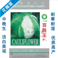 花椰菜種子-百勝王 硬花菜種子