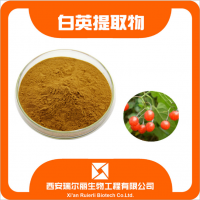 廠家直銷 白英提取物10:1白英粉 白毛藤定制大量現(xiàn)貨包郵