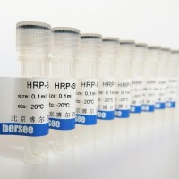 bersee品牌 小鼠抗萊克多巴胺