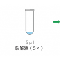 Keybio 核酸釋放劑