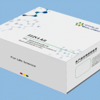 植物蔗糖合成酶（SS）ELISA 檢測試劑盒
