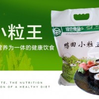 4KG 鴨田大米 小粒王