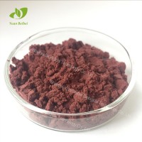 巴西莓粉  巴西莓萃取物  花青素廠家 巴西莓果粉