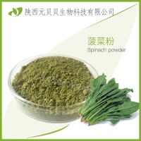菠菜汁粉壹貝子實(shí)力工廠免費(fèi)拿樣原料現(xiàn)貨批發(fā)菠菜提取物菠菜粉