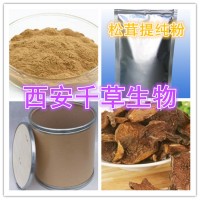 松茸提取物 松茸濃縮粉 廠家生產提取物 定做流浸膏