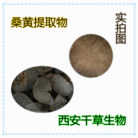 桑黃濃縮粉 桑黃提取物 廠家生產提取物 定做桑黃流浸膏