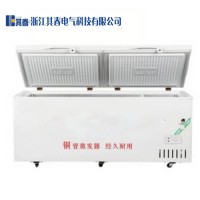 BL-WS1380C/D雙開門臥式防爆冷凍冰柜1380L