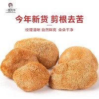一攬芳華菌菇猴頭菇干貨新鮮采摘手工挑選原色渾圓飽滿自然晾曬