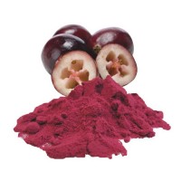 蔓越莓提取物 BL-DMAC 北美進口原料 分段提取技術