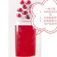 蔓越莓粉 原花青素 進口果汁噴霧干燥