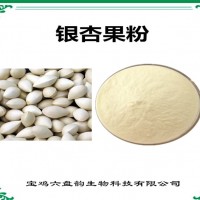 銀杏果速溶粉 銀杏果粉 廠家發貨