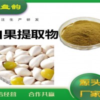 白果提取物 白果粉 藥食同源原料