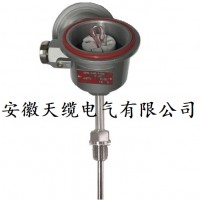 WRN/WRE-1B錐形套管熱電偶/安徽天纜供應